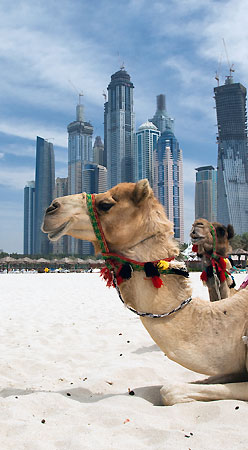 billiga resor till dubai billiga resor till dubai