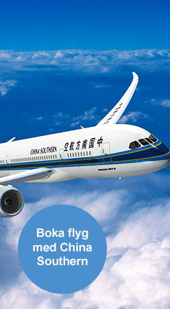 Boka China Southern Airlines