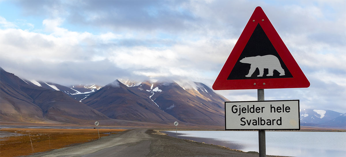 Gruppresa till Svalbard