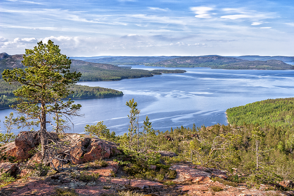 Höga kusten, Ångermanland