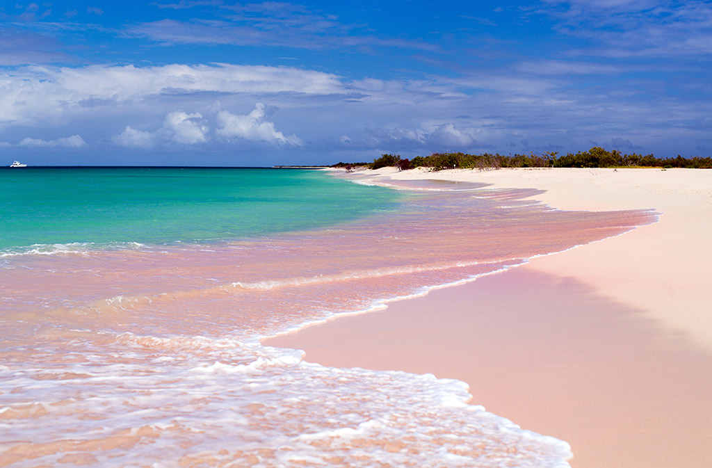 Pink Sand Beach, Harbour Island, Bahamas