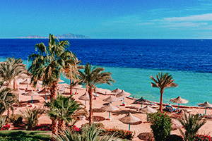 Palmkantad strand med stråparasoller och blått hav i Sharm el-Sheikh, Egypten.