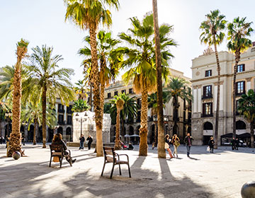 Torg med palmer och historiska byggnader i soliga Barcelona.